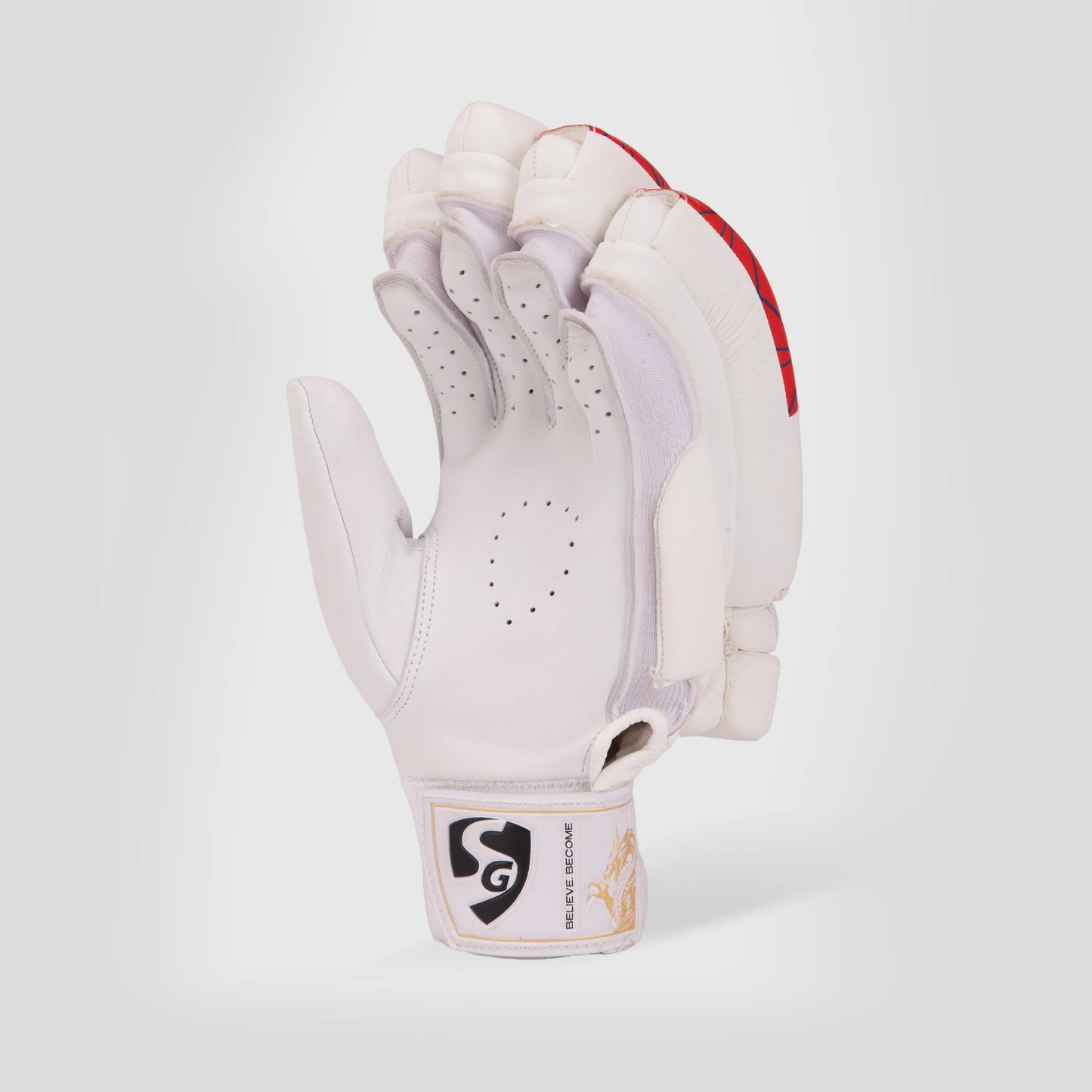 SG KLR 1 BATTING GLOVES-MENS