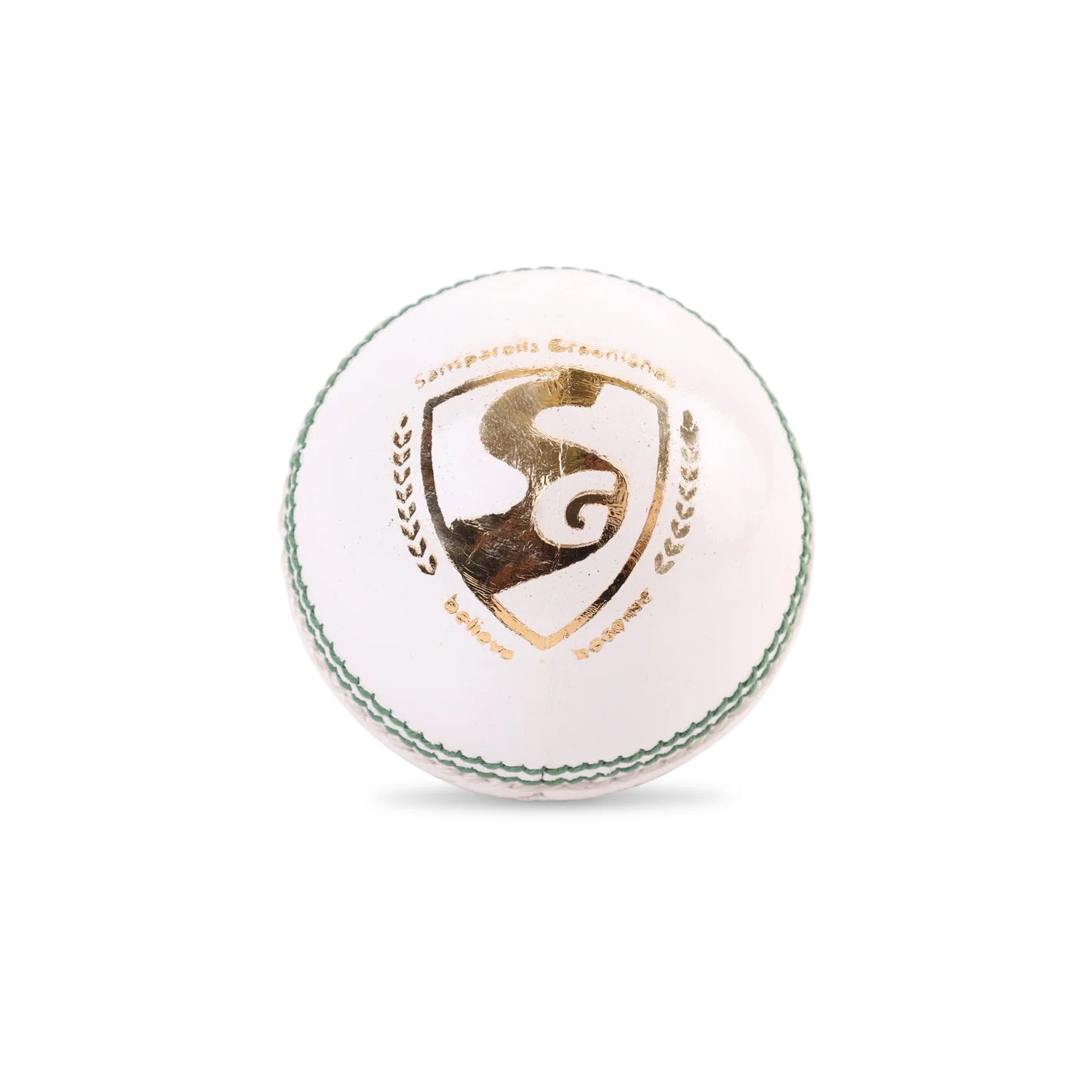 SG TEST WHITE CRICKET LEATHER BALL-ADULT
