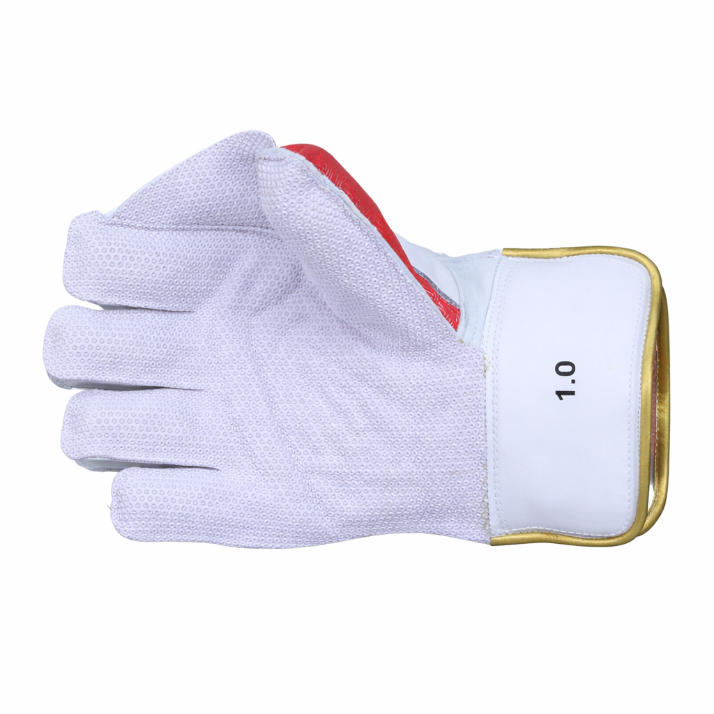 SS TON PRO 1.0 WICKET KEEPING GLOVE-MENS