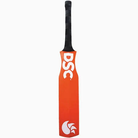 DSC CATCHING CRICKET BAT