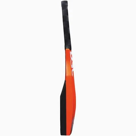 DSC CATCHING CRICKET BAT